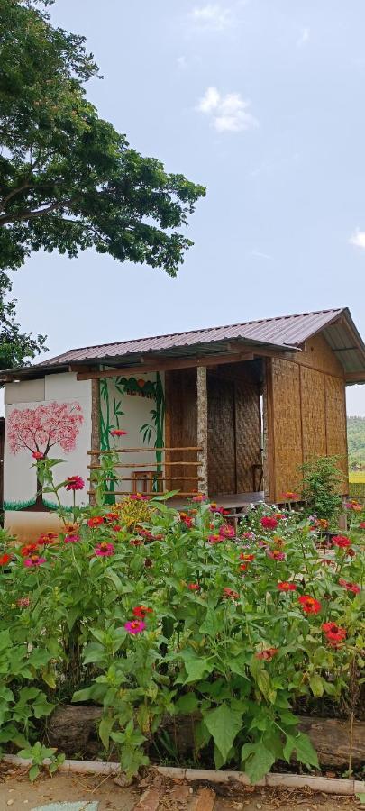 Kaewma Farmstay Khuang Kom المظهر الخارجي الصورة
