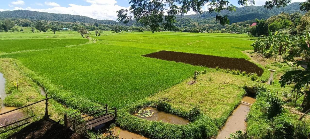 Kaewma Farmstay Khuang Kom المظهر الخارجي الصورة