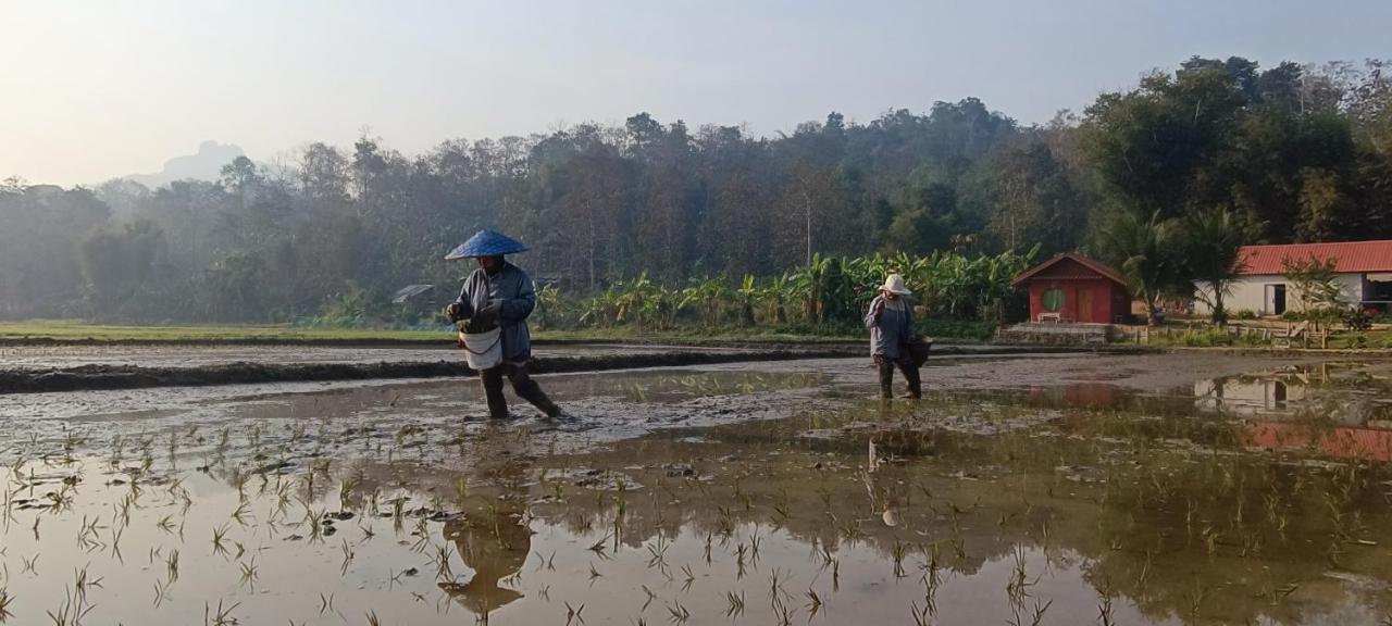 Kaewma Farmstay Khuang Kom المظهر الخارجي الصورة