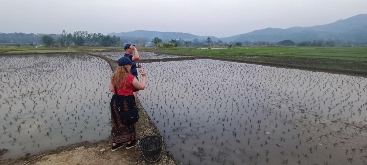 Kaewma Farmstay Khuang Kom المظهر الخارجي الصورة