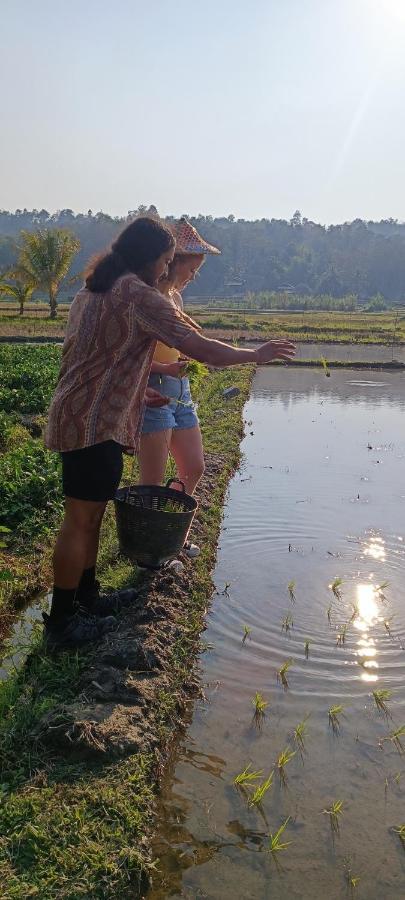Kaewma Farmstay Khuang Kom المظهر الخارجي الصورة