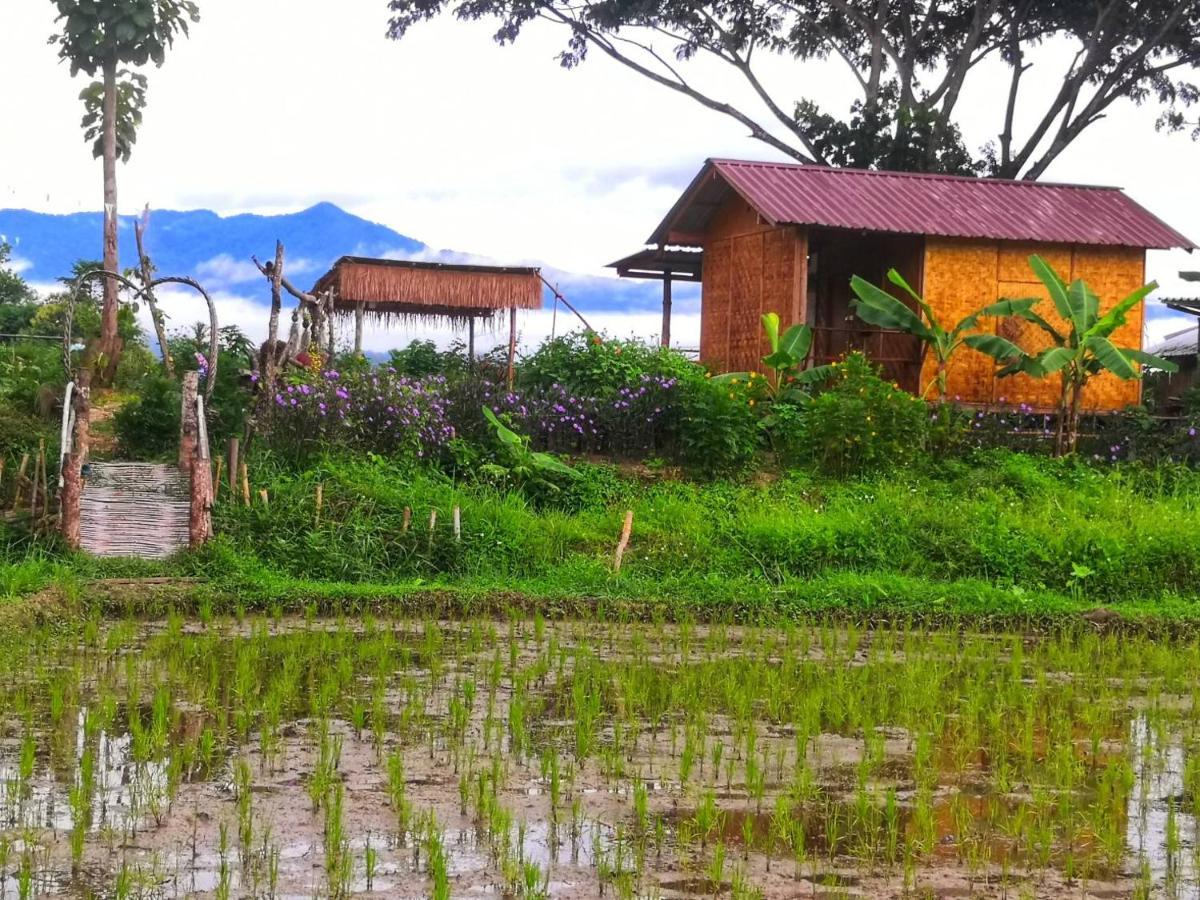 Kaewma Farmstay Khuang Kom المظهر الخارجي الصورة