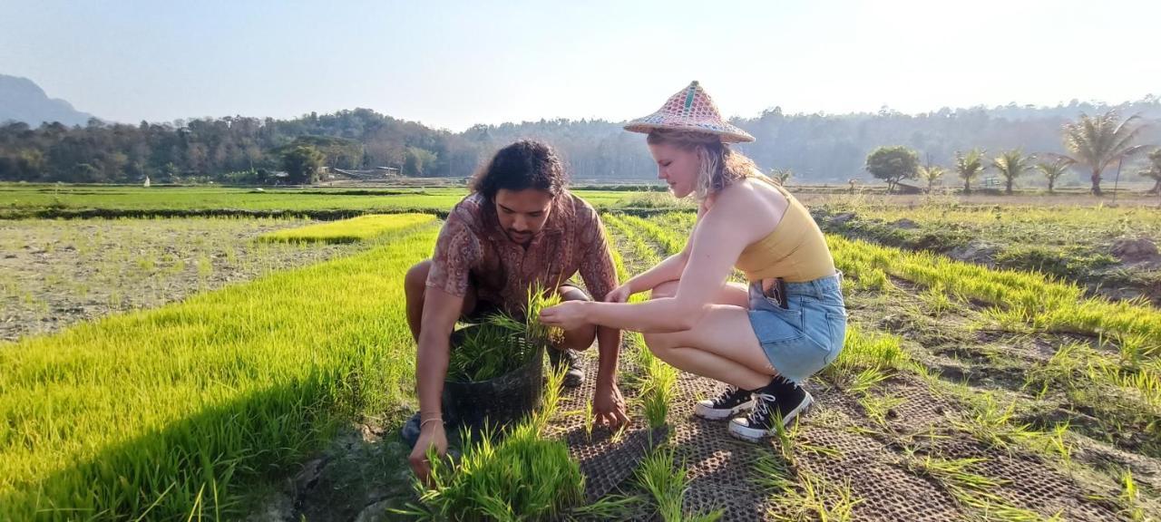 Kaewma Farmstay Khuang Kom المظهر الخارجي الصورة