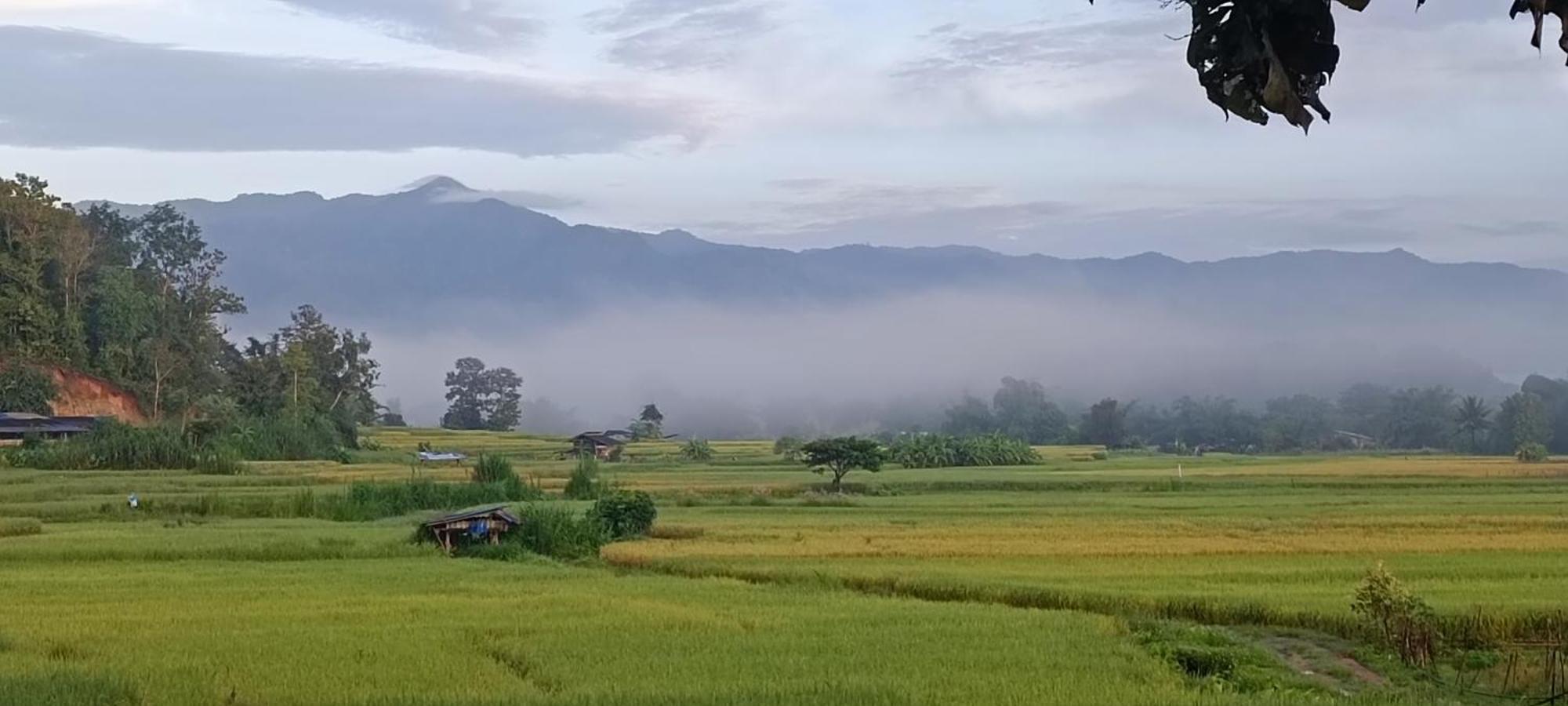 Kaewma Farmstay Khuang Kom المظهر الخارجي الصورة